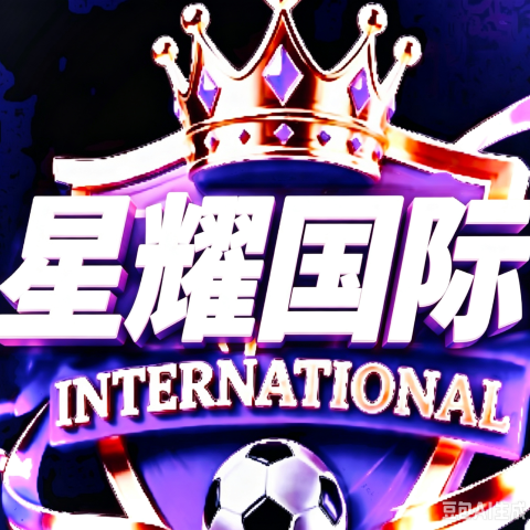 星耀国际
